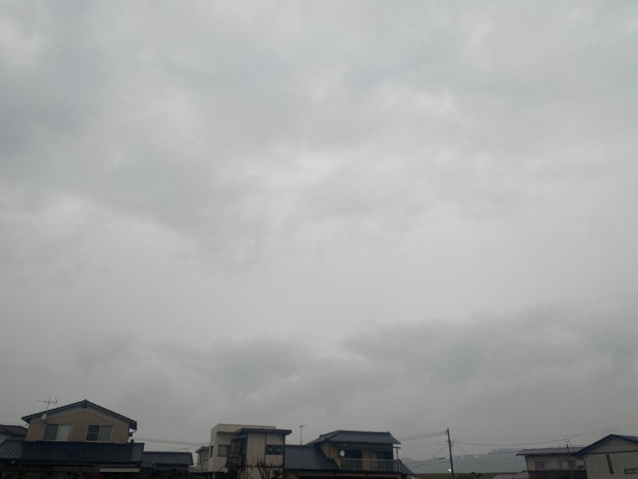 今朝の空　2／24