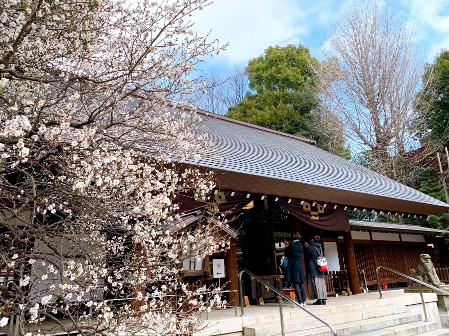 ☆新年のご挨拶☆