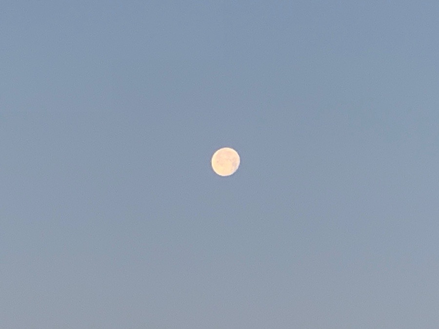 お月さま