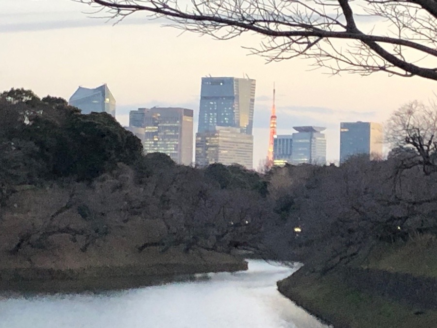 東京といえば‼︎