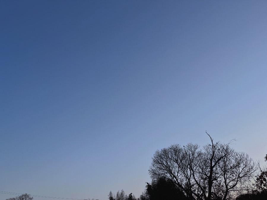 【朝の空】