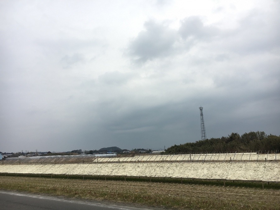 ⭕️空部→ 今日の空（≧∇≦）‼️401.