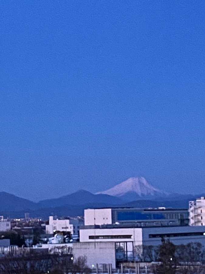 今朝の富士山