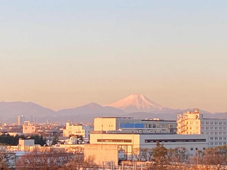 今朝の富士山