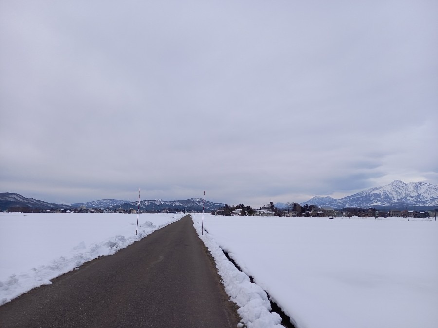 今日も同じ散歩道(^-^)v