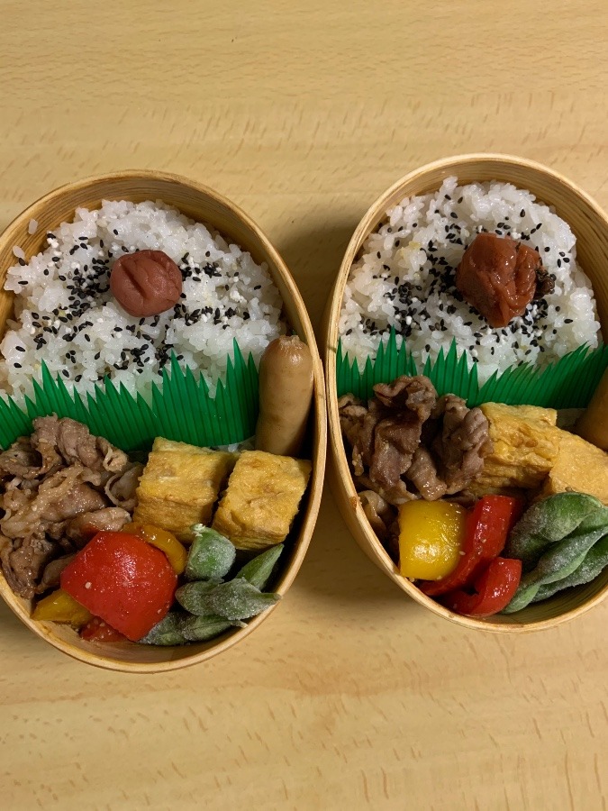 今日のお弁当