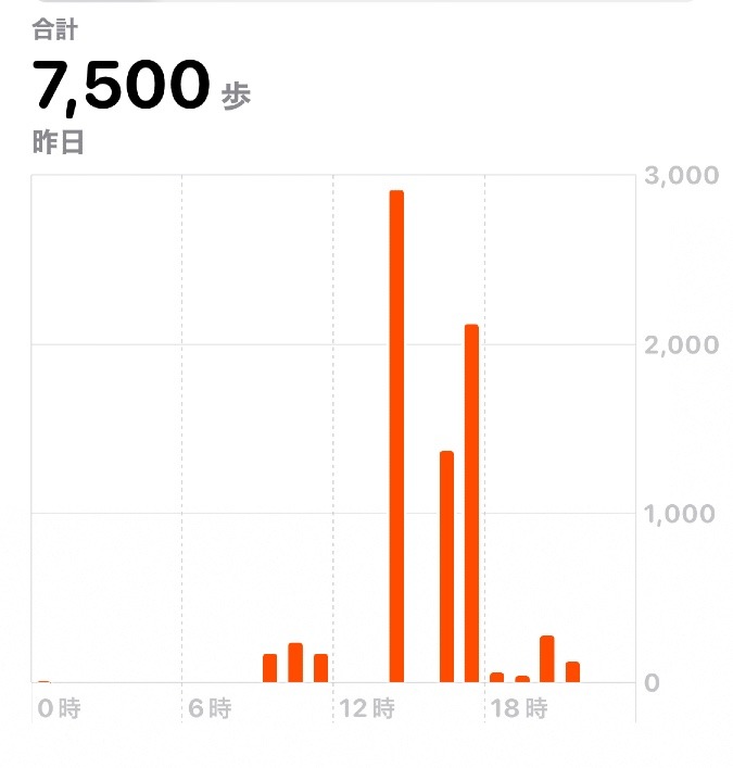 2/22 7500歩