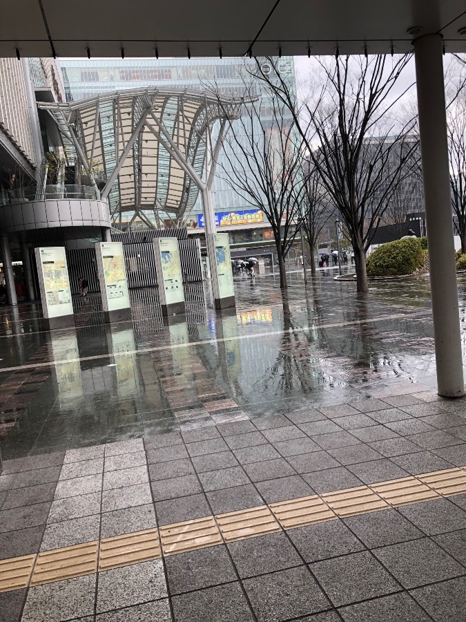 雨