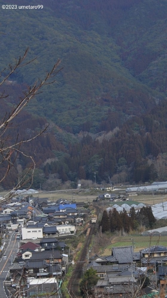 脳内再生の 案山子……🎶