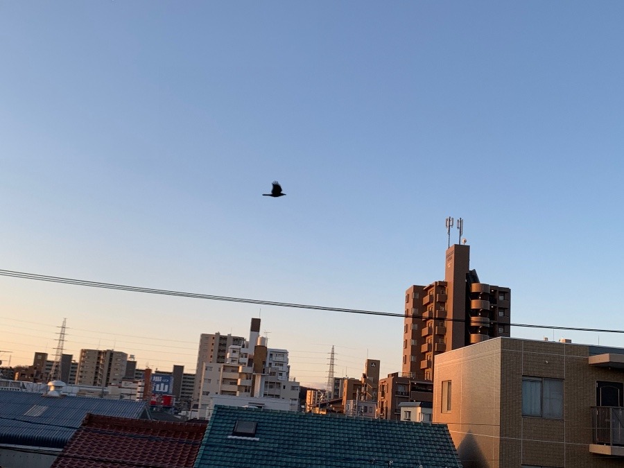 今空
