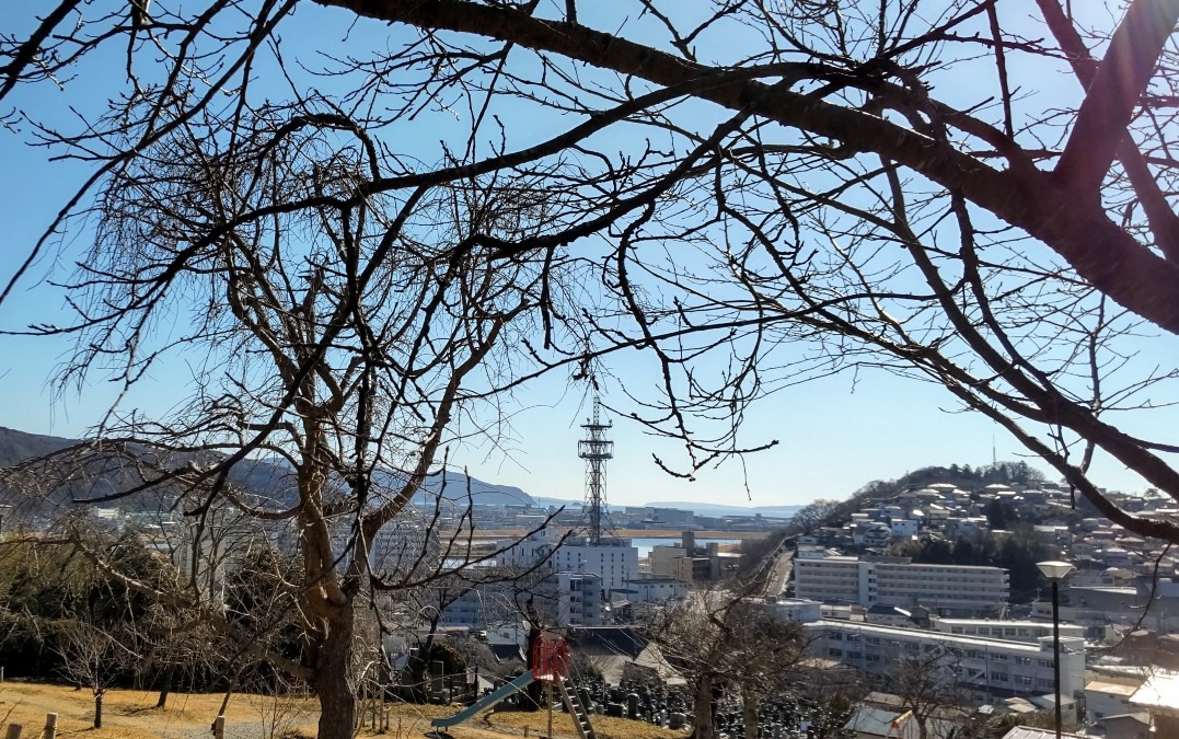 羽黒山から見える海。