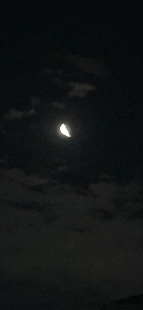 朝の月