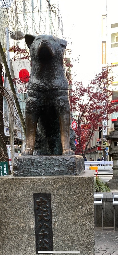 忠犬ハチ公　生誕100年