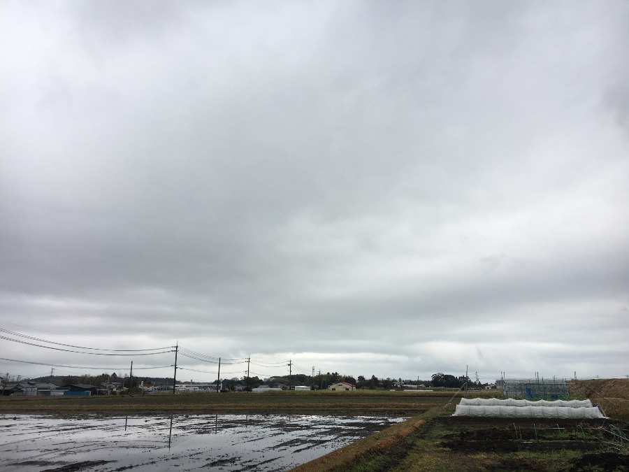 ⭕️空部→ 今日の空（≧∇≦）‼️419.