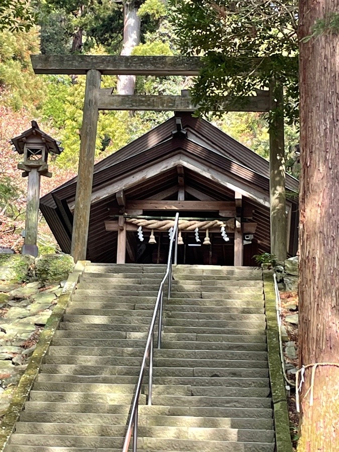 伊野天照皇大神宮⛩