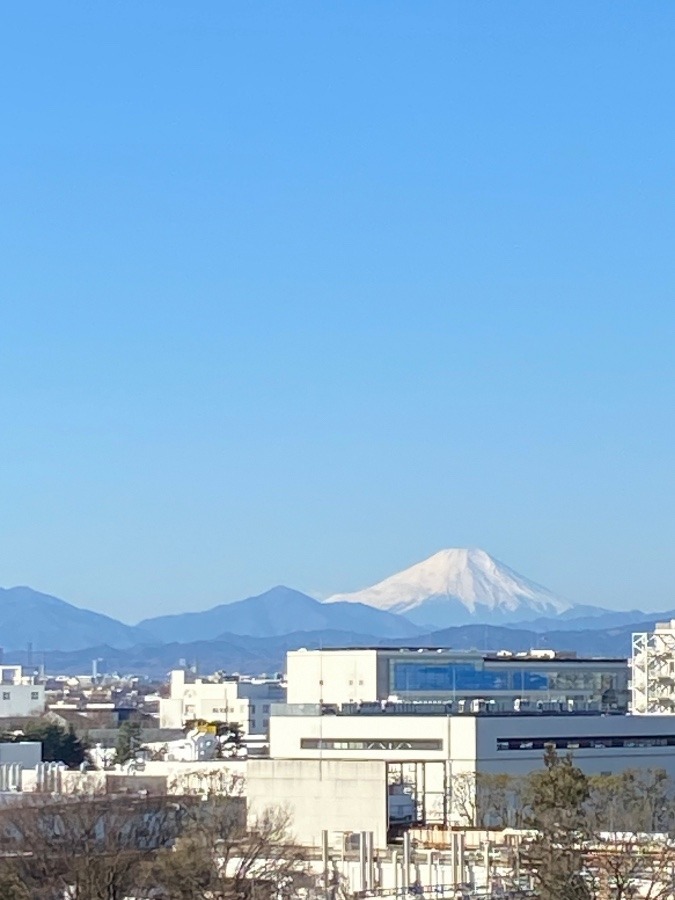 今朝の富士山