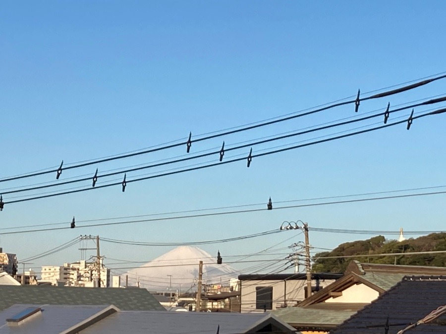 真っ白な富士山♪