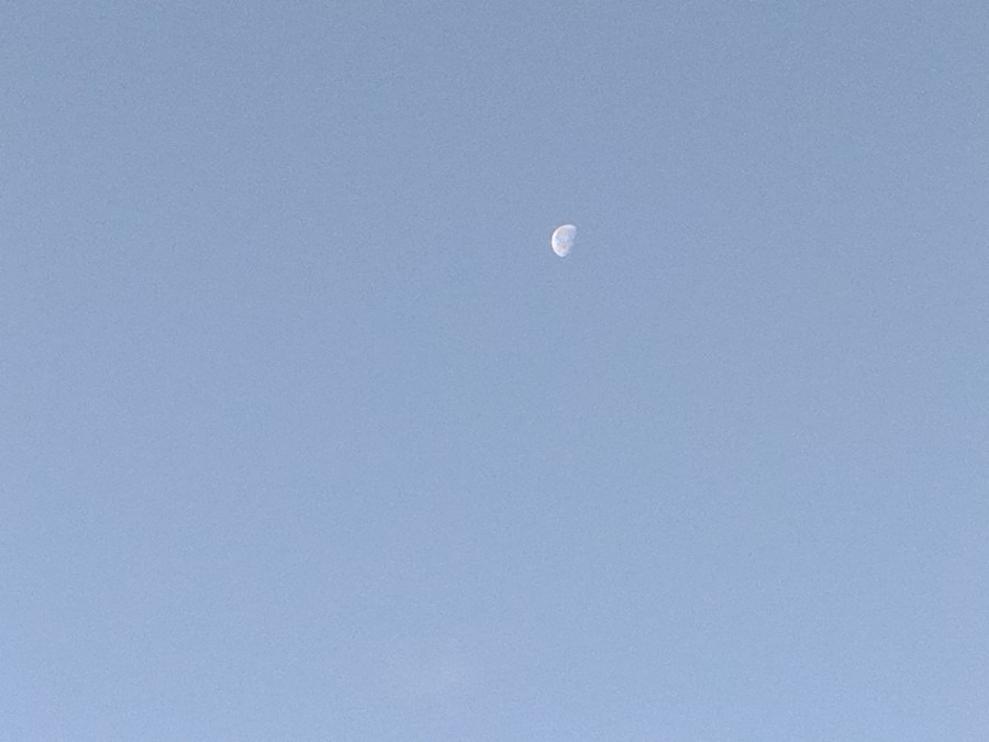 2/12　今朝の西の空　  月がよく見えます