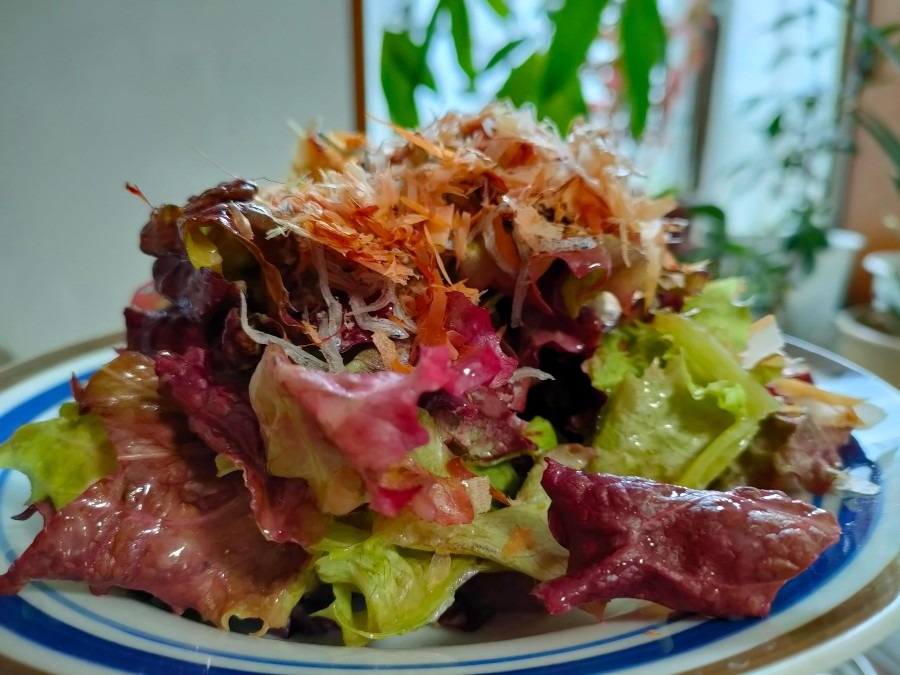 郷土料理「ちしゃもみ」「ちしゃなます」