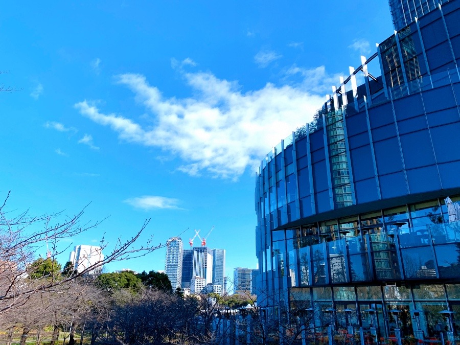 ☆東京は小春日和☆