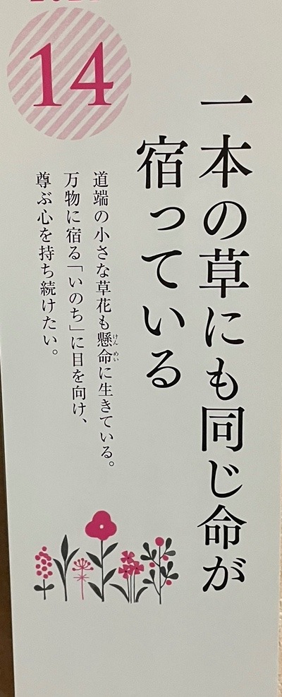 今日の道しるべ❣️