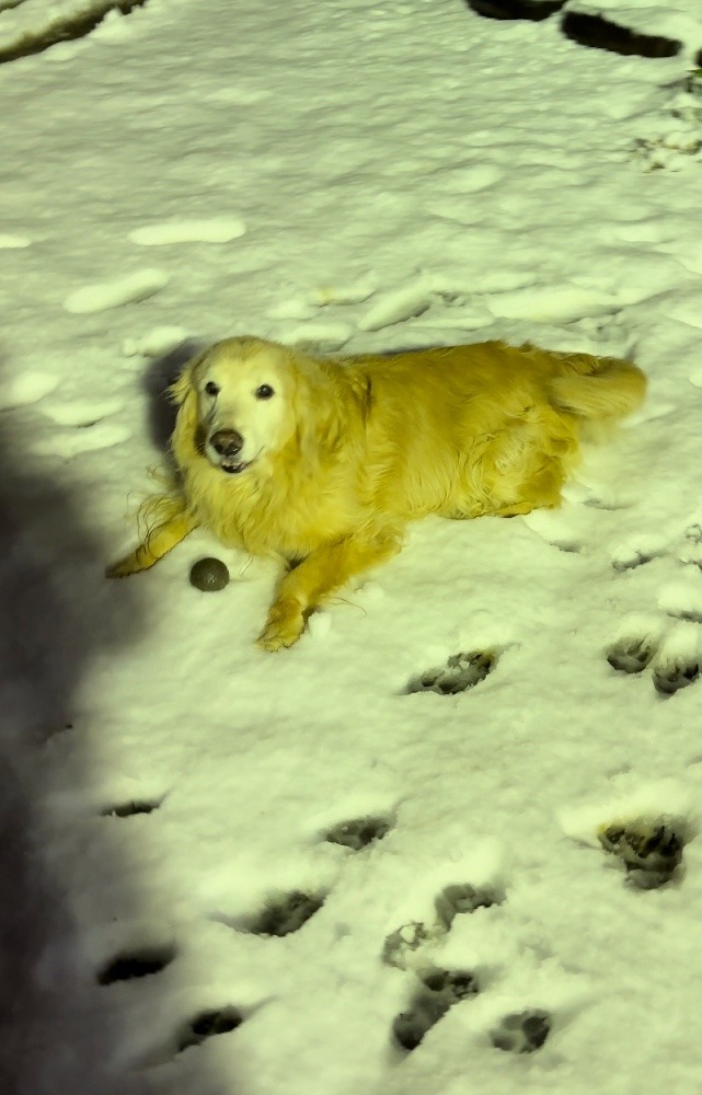 あつしと雪