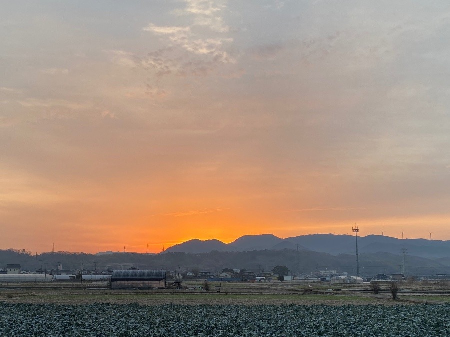 今朝の空　２／4