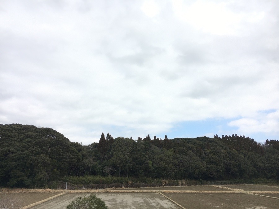 ⭕️空部→ 今日の空（≧∇≦）‼️436.