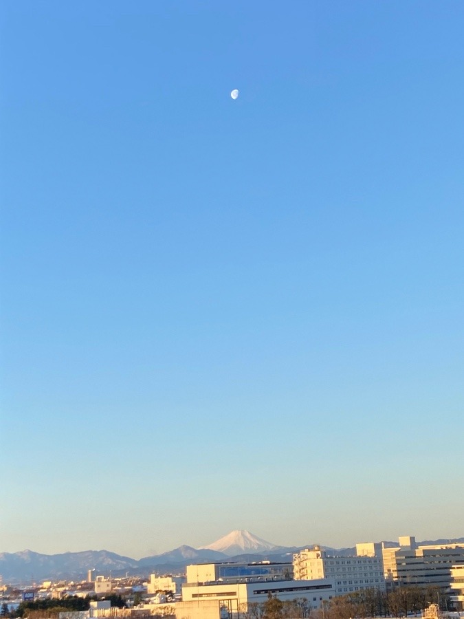 今朝の富士山-2023-02-11