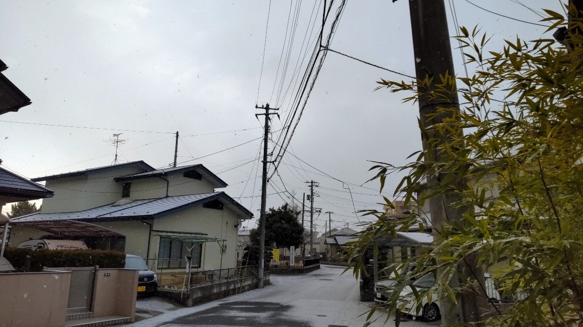 うっすらと、地面を隠し始めた雪。