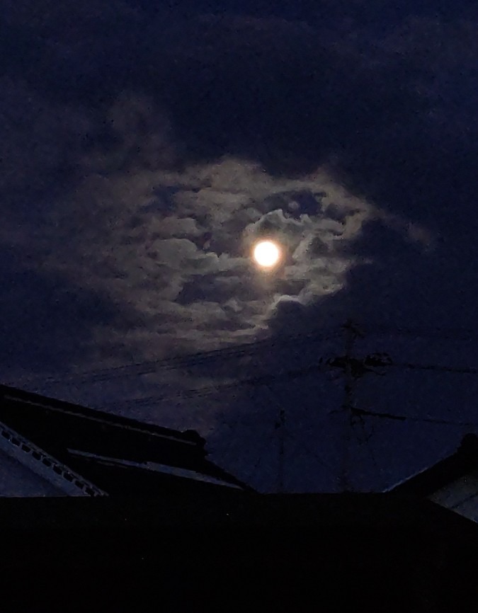 夕べのお月さん🌔