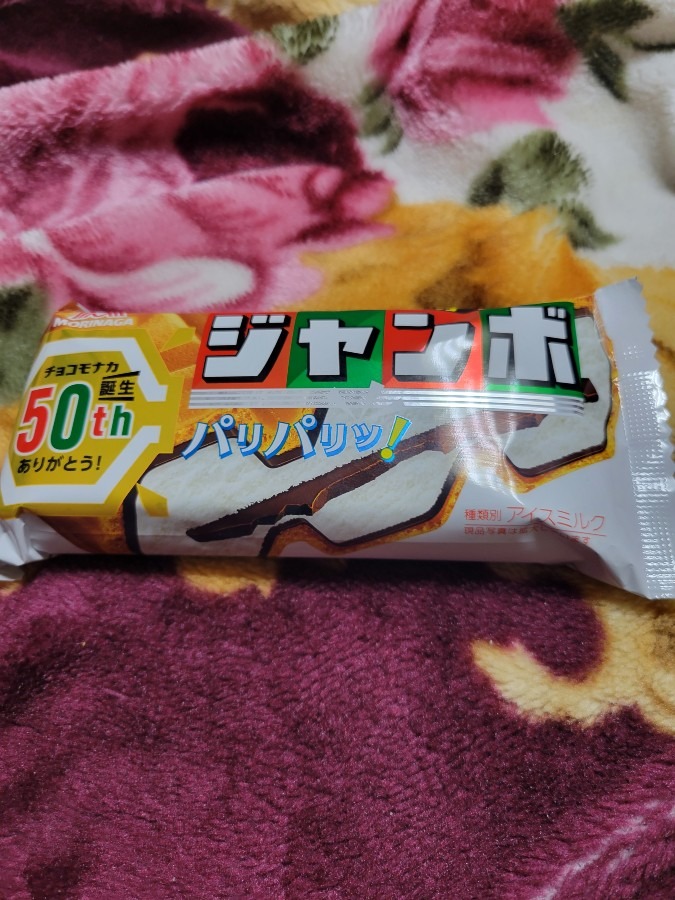 昨年夏頃からはまっています　ジャンボチョコモナカ