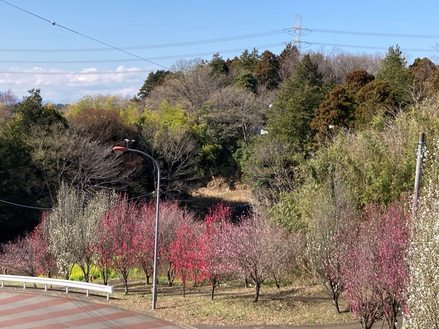 美しい風景♪