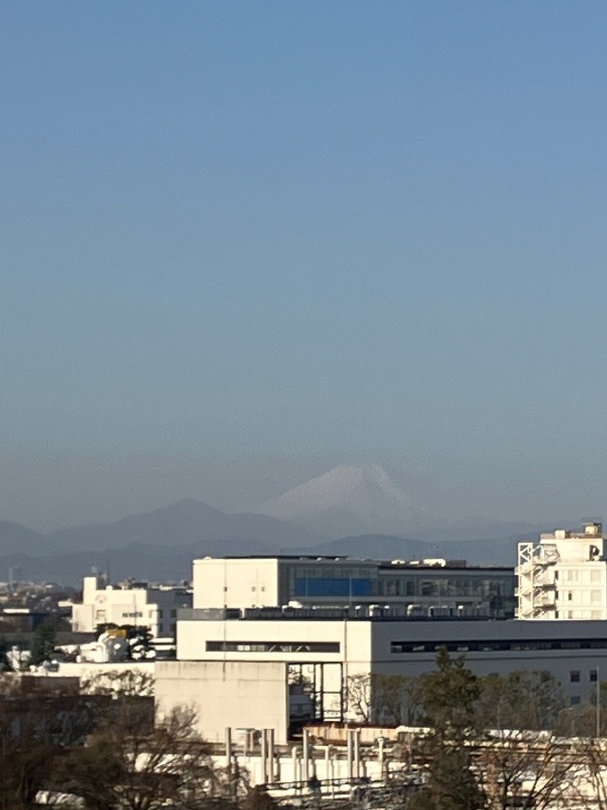 今朝の富士山