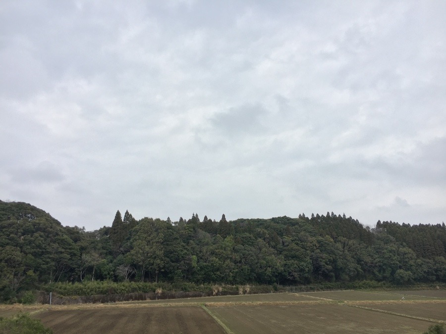 ⭕️空部→ 今日の空（≧∇≦）‼️480.