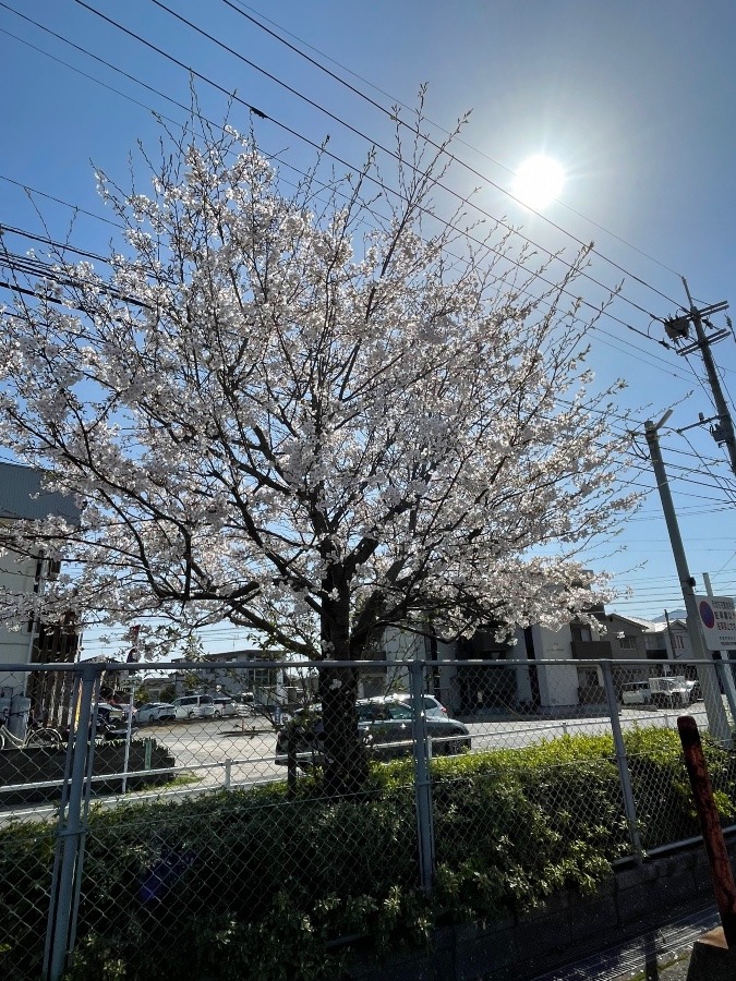 おはようございます✨