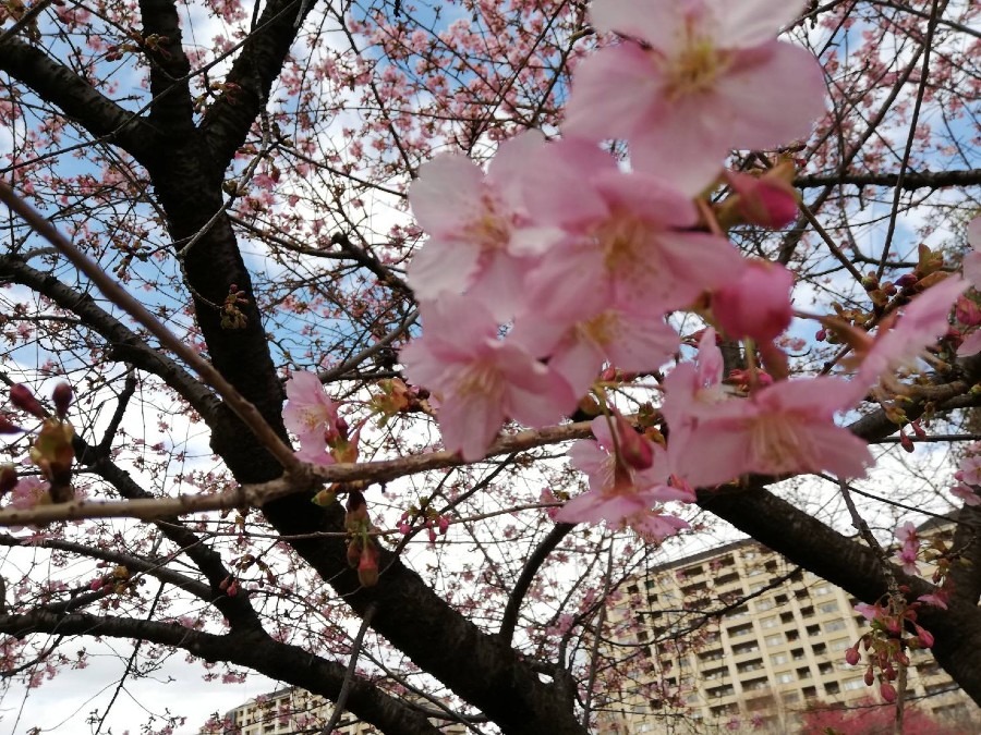 格好の遊び場です