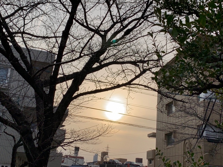 朝陽