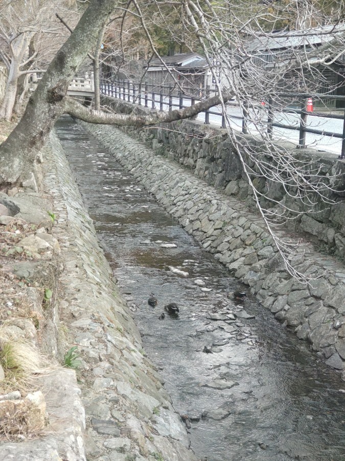 朔日参り　素鵞川