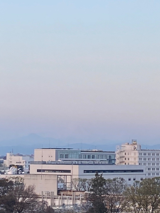 今朝の富士山