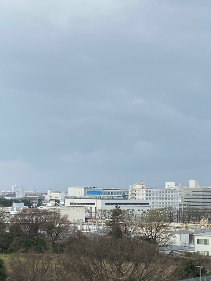 今朝の富士山