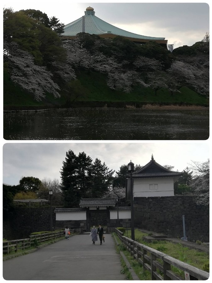 皇居　清水門と武道館