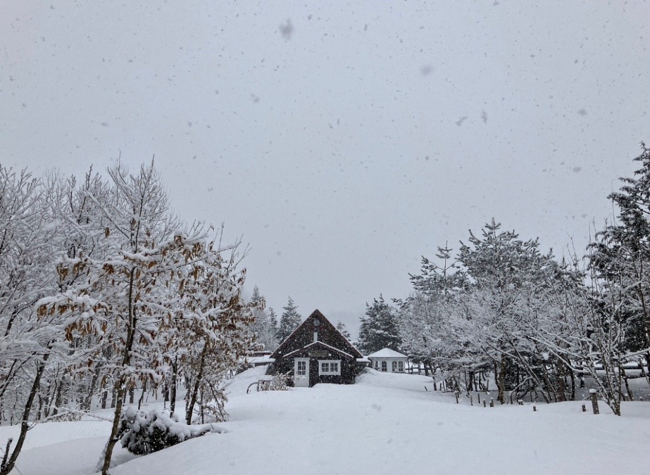 森のようちえん・冬⛄️