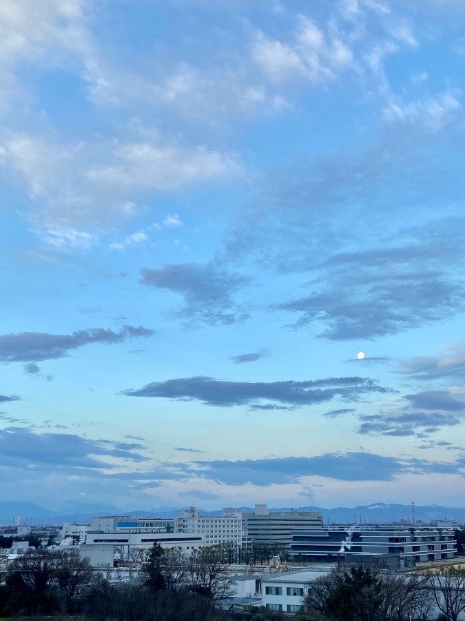 今朝の富士山