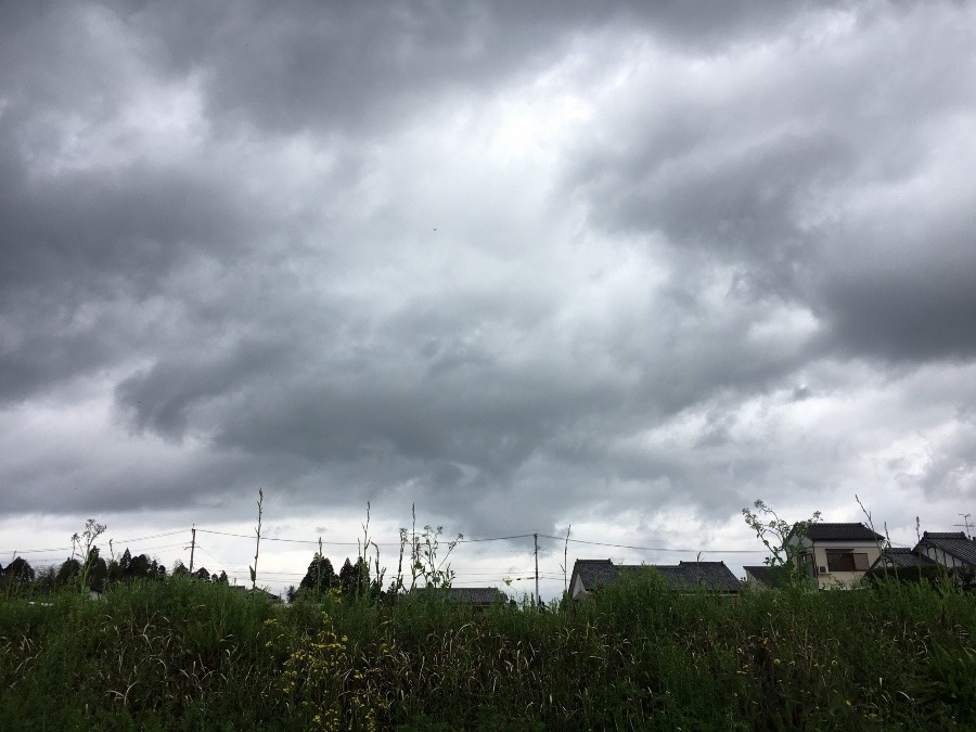 ⭕️空部→ 午前中の、今日の空（≧∇≦）‼️492.