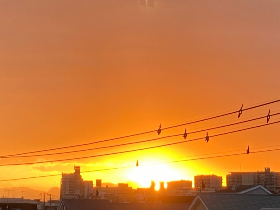 輝く夕陽✨