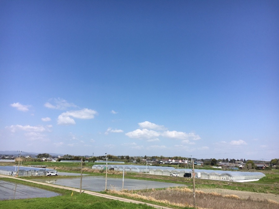 ⭕️空部→ 今日の空（≧∇≦）‼️501.