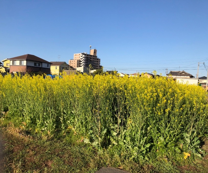 おはようございます❣️