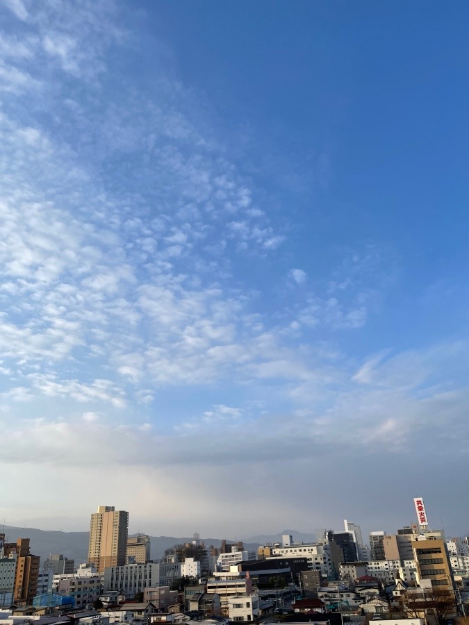 今朝の空  3