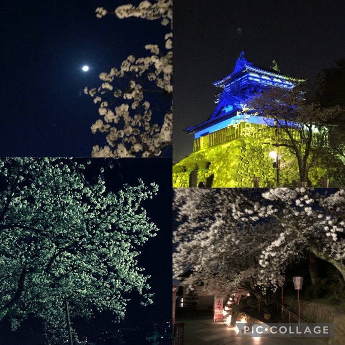 今年初の花見